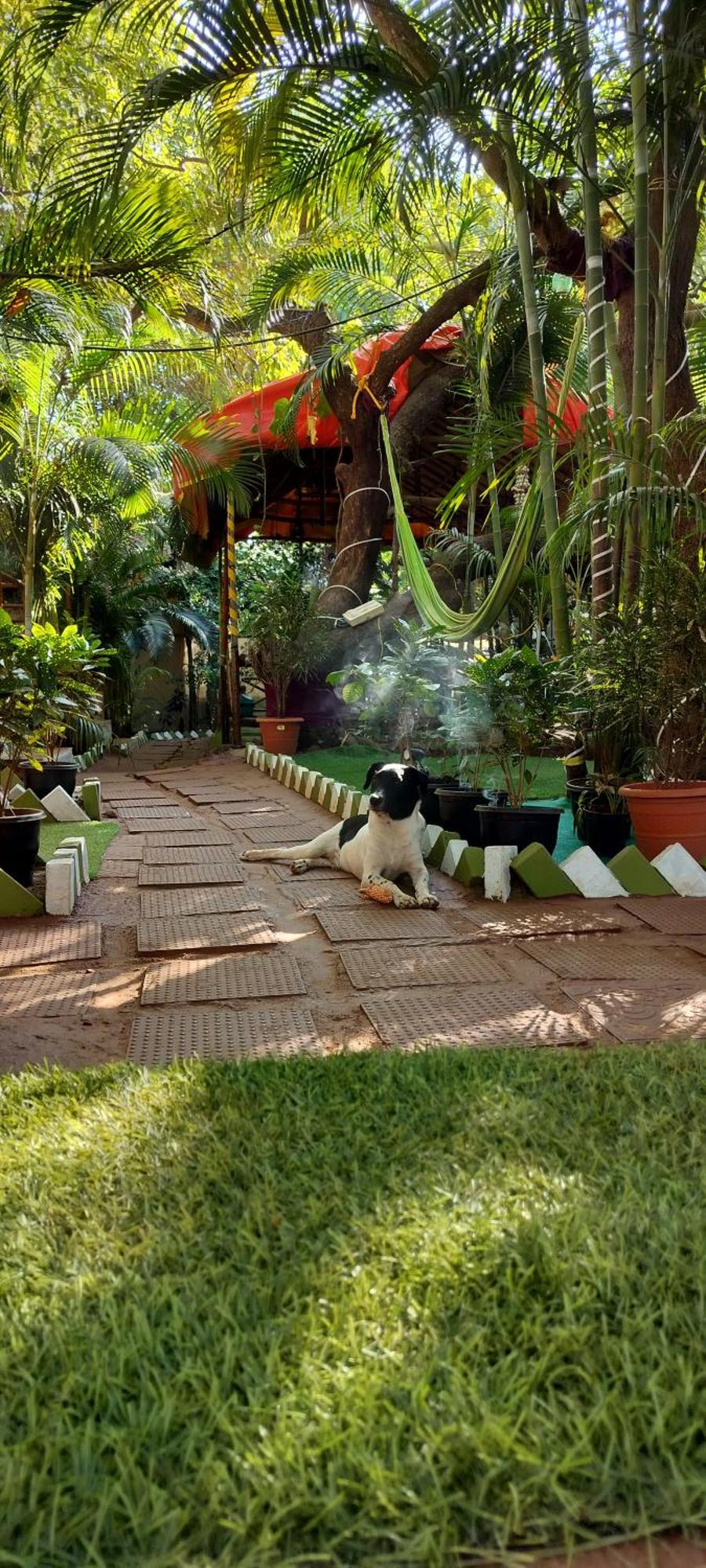 Nature Of Arambol Exterior foto